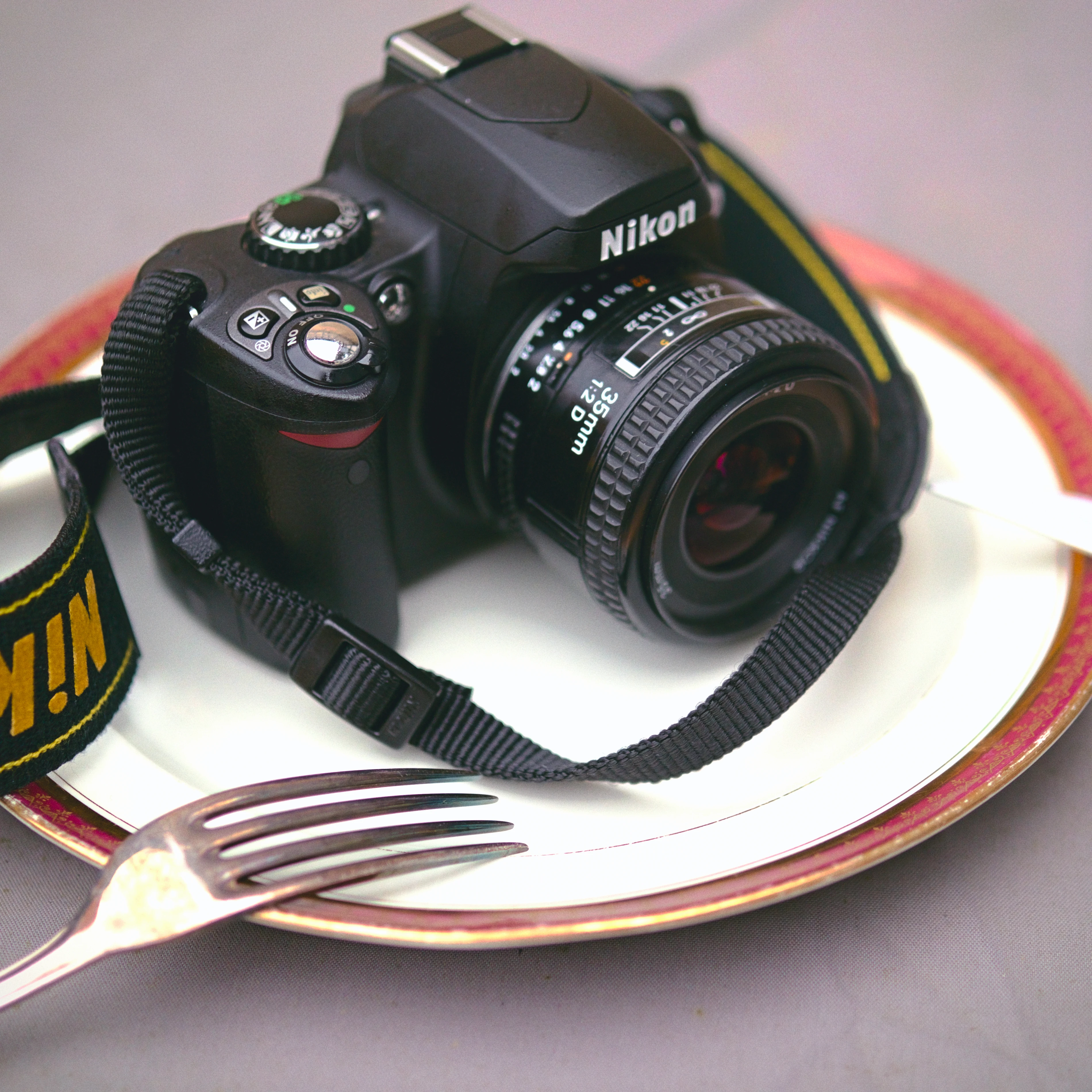 Nikon D40x